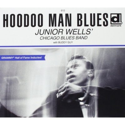 Wells Junior - Hoodoo Man Blues Special Edition CD – Zboží Mobilmania