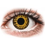 Gelflex CRAZY LENS - Cheetah - nedioptrické jednodenní 2 čočky – Zboží Dáma