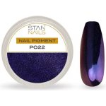 Starnails Nail Art zdobení pigment P022 – Hledejceny.cz