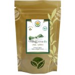 Salvia Paradise 100% sušená šťáva z mladého ječmene 1000 g – Hledejceny.cz