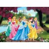 Tapety AG Design FTDNM-5217 Dětská vliesová fototapeta na zeď - Disney, Princezny, rozměry 155 x 110 cm