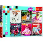TREFL Šťastní pejsci 200 dílků – Sleviste.cz