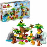 LEGO® DUPLO® 10973 Divoká zvířata Jižní Ameriky – Hledejceny.cz