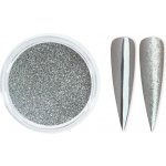 Aglia Chrome Mirror PLATIN pigment 0,5 g – Hledejceny.cz