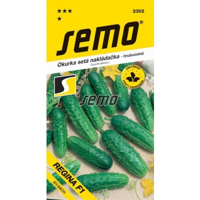 Okurka nakladačka - Regina F1 – Sleviste.cz