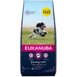 Eukanuba Adult Medium Breed 18 kg – Hledejceny.cz