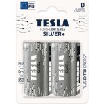 TESLA SILVER+ D 2ks 13200221 – Zbozi.Blesk.cz