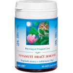 TCM Herbs Vyvanutí dračí jeskyně 100 tablet – Hledejceny.cz