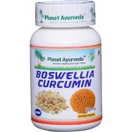 Planet Ayurveda Boswellia-Curcumin extrakt 10:1 500 mg 60 kapslí – Hledejceny.cz