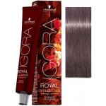 Schwarzkopf Professional Igora Royal Color 8-19 světlá blond popelavě fialová 60 ml – Zboží Dáma