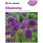 Cibuloviny – Hledejceny.cz