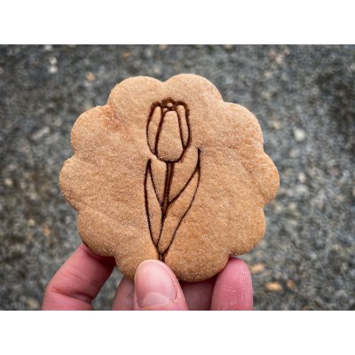 TVOŘÍTKO Tulipán - razítko Rozměr: 7 cm, + Vykrajovátko: Ne – Hledejceny.cz