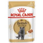 Royal Canin British Shorthair Gravy ve šťávě 12 x 85 g – Zbozi.Blesk.cz