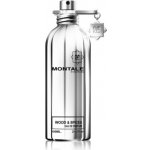 Montale Wood & Spices parfémovaná voda pánská 100 ml – Hledejceny.cz