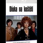 Dívka na koštěti BD – Hledejceny.cz