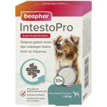 Beaphar IntestoPro L pro velké psy 20 tablet – Zboží Mobilmania