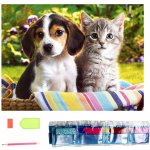 Norimpex Diamantové malování Kamarádi v košíku 30 x 40 cm – Sleviste.cz