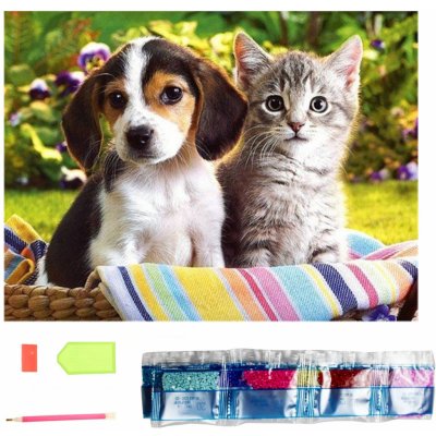 Norimpex Diamantové malování Kamarádi v košíku 30 x 40 cm – Sleviste.cz