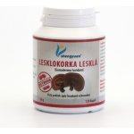 Institut Handan Lesklokorka lesklá 30 g 120 kapslí – Hledejceny.cz