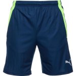 PUMA TEAMLIGA TRAINING SHORTS 2 – Zboží Dáma