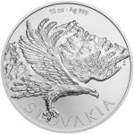 Česká mincovna Stříbrná mince Orel 2026 stand 10 oz – Hledejceny.cz