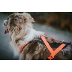 Non-stop Dogwear Rush harness – Zboží Dáma