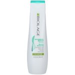 Matrix Biolage ScalpSync Anti Dandruff Shampoo 250 ml – Zbozi.Blesk.cz