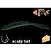 Návnada a nástraha FishUp Scaly FAT 3,2" #110 Dark Olive