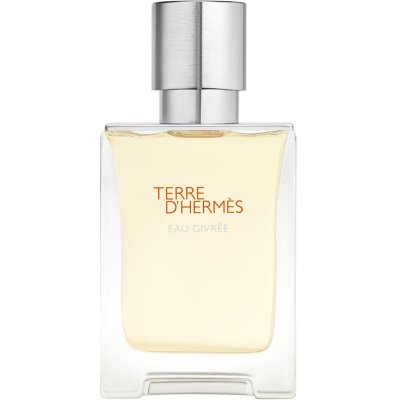 Hermès Terre d’Hermès Eau Givrée parfémovaná voda pánská 50 ml – Hledejceny.cz