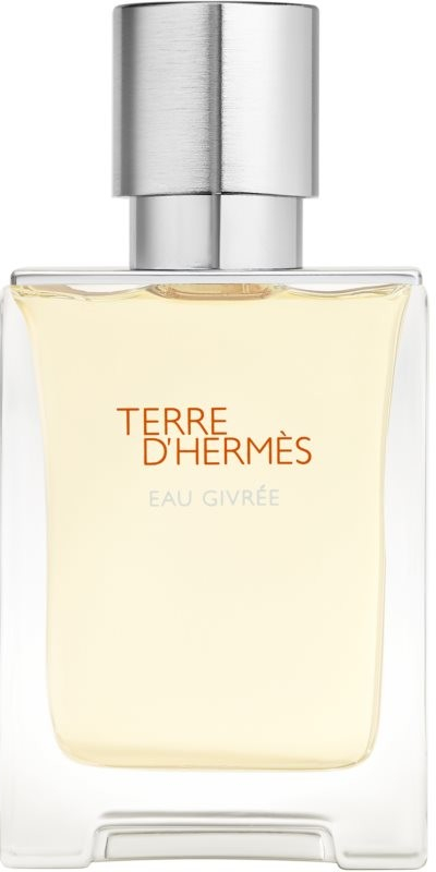 Hermès Terre d’Hermès Eau Givrée parfémovaná voda pánská 50 ml