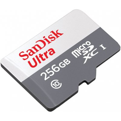 SanDisk Ultra 256GB Micro SDXC SDSQUNR-256G-GN6TA – Zboží Živě