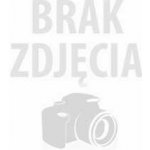 BLIKAČ SMĚROVÉ SVĚTLO BOČNÍ NISSAN PATHFINDER TERRANO PICKUP 86- | Zboží Auto