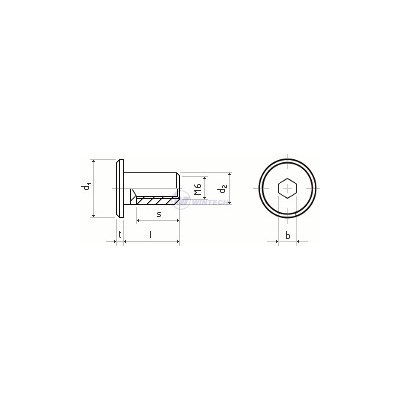 WINTECH Matice spoj. PL.HL. 17 M6x12 BRZ Balení: 500 ks FRBFG06012K5K – Zbozi.Blesk.cz