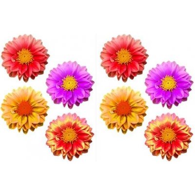 Impol Trade SPN15 Samolepky na zeď květiny 45 x 65 cm – Hledejceny.cz