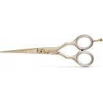 Kiepe Scissors Ergo Anatomic Luxury Gold-Gold 2451 kadeřnické nůžky 2451 6" – Zbozi.Blesk.cz