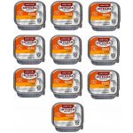 Animonda Integra Protect Adult Dog Renal kuřecí 150 g – Hledejceny.cz