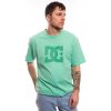 Pánské Tričko DC Dcstar Pigment Tees Ggrw