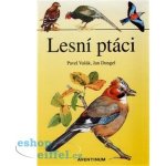 Lesní ptáci – Hledejceny.cz