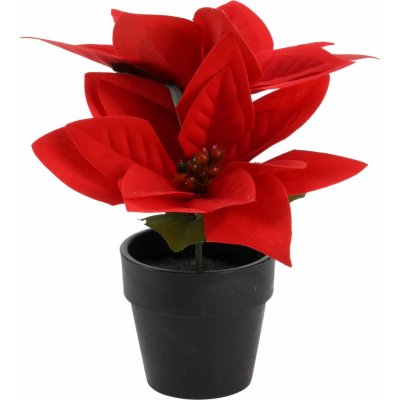 Home Styling Collection Umělá betlémská hvězda v květináči výš. 18 cm barva červená – Hledejceny.cz