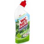 WC Net Intense gel 3v1 Moutain Fr .750 ml – Zboží Dáma