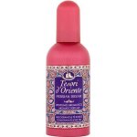 Tesori d'Oriente Persian Dream parfémovaná voda dámská 100 ml – Hledejceny.cz