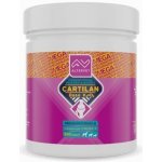 Altervet Cartilan Nutri K2+D3 Mega 300 tbl – Hledejceny.cz