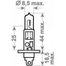 Philips Premium H1 P14,5s 12V 55W