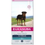 Eukanuba Rottweiler 2 x 12 kg – Hledejceny.cz