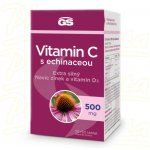 GS Vitamin C 500 mg s echinaceou 110 tablet – Hledejceny.cz