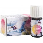 Natural Oil 100% čistá směs éterických olejů Respira 5 ml – Hledejceny.cz
