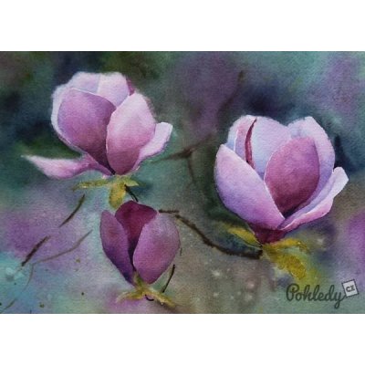 Pohlednice Magnolie – Zboží Dáma