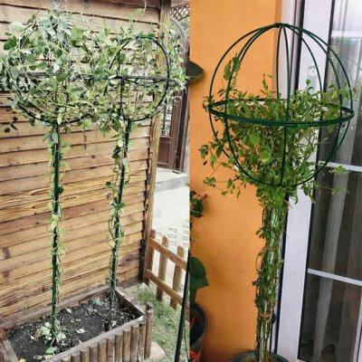 Zahradní kovová opora pro popínavé rostliny 50 × 10 cm, zelená – Hledejceny.cz