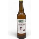 Pivovar Kamenice Kamenická jedenáctka světlý ležák 11° 4,7% 0,5 l (sklo) – Zboží Dáma