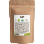 BrainMax Pure Lion's Mane Hericium prášek BIO 100 g – Hledejceny.cz